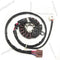 Stator Comp for Honda 31220-K35-J01/31220-K36-J01 PCX-125